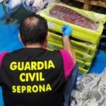Las otras amenazas alimentarias que vigila la UE: contrabando de carne de primate, atún adulterado, parásitos de mapache…