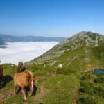 Lo que no puedes perderte si vas a Asturias de vacaciones este verano