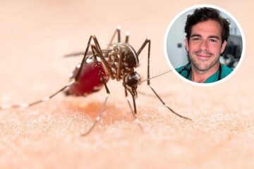 Aurelio Rojas, cardiólogo: «Los mosquitos no te pican porque tengas la sangre más dulce. Es el dióxido de carbono que generas y el olor de tu piel»
