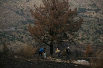 Una carrera contrarreloj para evitar que las cenizas de los incendios contaminen ríos y embalses