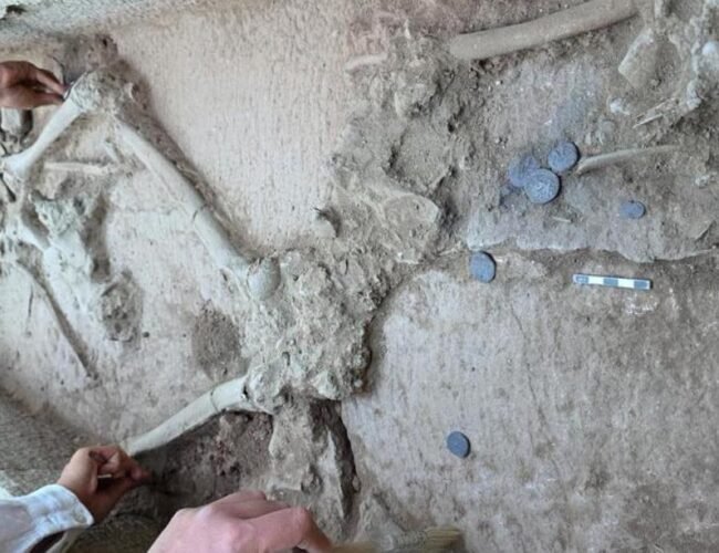Excavaciones en una necrópolis de Turquía permiten descubrir la tumba de un antiguo luchador profesional de hace 2.400 años