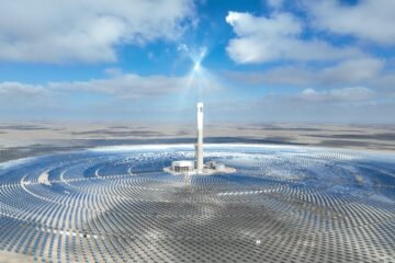 La lección China: la complicada solución para el conflicto entre las plantas solares y las aves