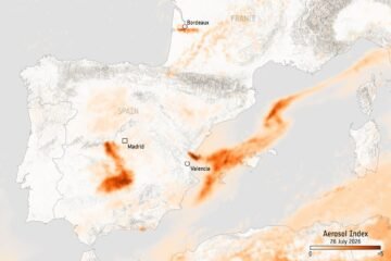 Los incendios de esta semana han emitido ya tanto CO₂ como 660 empresas cerámicas en un año