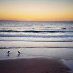 Pistas para un viaje de verano a Portugal: de las playas del Algarve a los azulejos de Lisboa