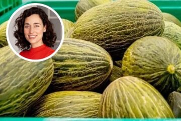 Júlia Farré, nutricionista: «Si vas a comprar un melón y tiene una mancha amarilla en su corteza, fíjate. Cuánto más grande sea, mejor, significa que ha estado más tiempo madurando»