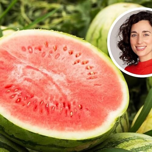 Júlia Farré, nutricionista: «Si vas a comprar una sandía y ves que tiene una mancha blanca en su inferior, no la compres. Debe ser amarilla para que sea dulce»