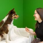 Hablar a los perros moldea su cerebro
