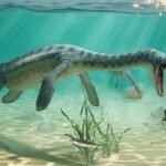El vómito revela el secreto de los plesiosaurios, los monstruos marinos que regurgitaban a sus víctimas