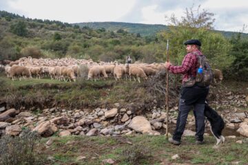 Lecciones de la sabana africana para las áreas quemadas