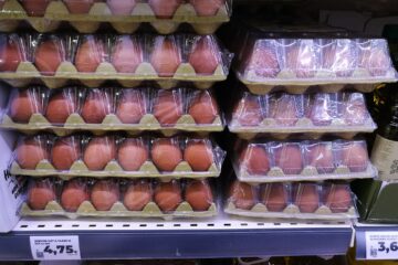 Al menos 13 intoxicados por salmonela en España por huevos contaminados con la bacteria